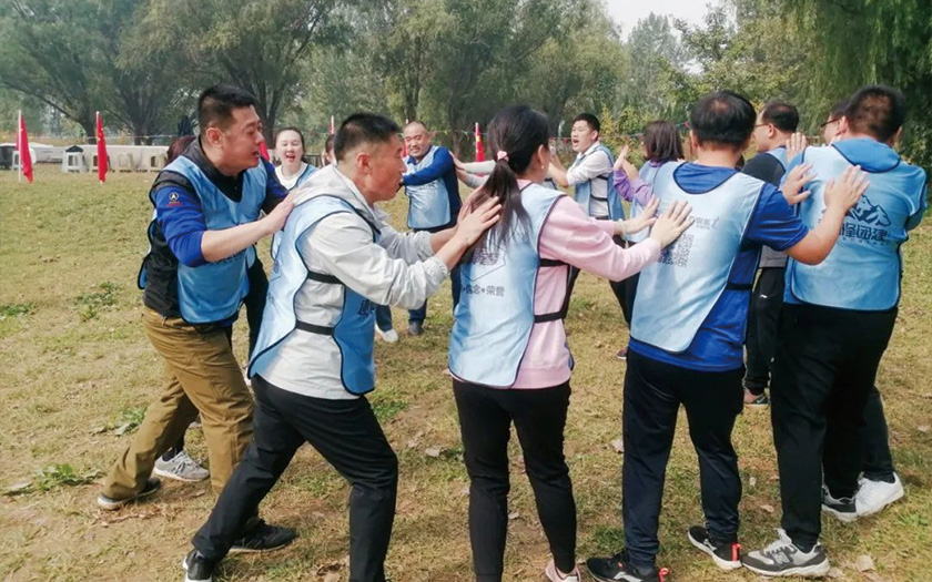 凝心聚力 熔煉團隊｜金橋集團金秋團建活動精彩集錦！